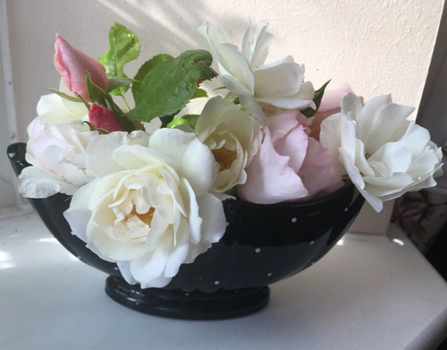 Vintage 1950s black - vintage,