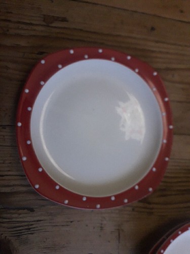 Midwinter red domino - midwinter, inch
